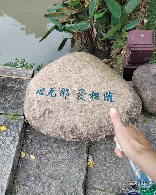 【小众旅行地】嘉兴梅花洲