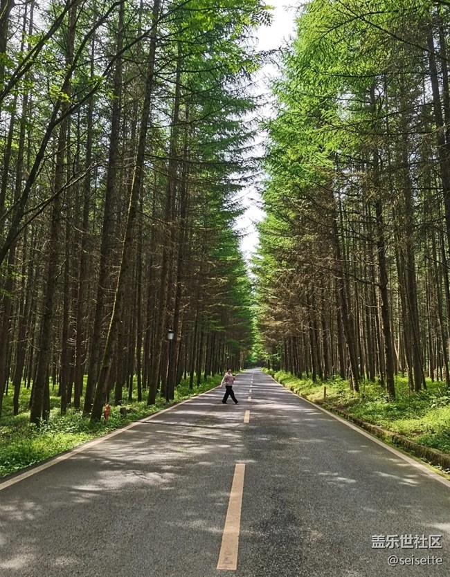 【小众旅行地】光雾山避暑