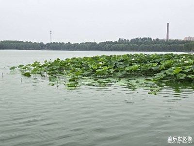 【七月风光】＋幸福湖公园