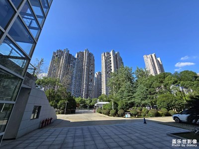随手拍