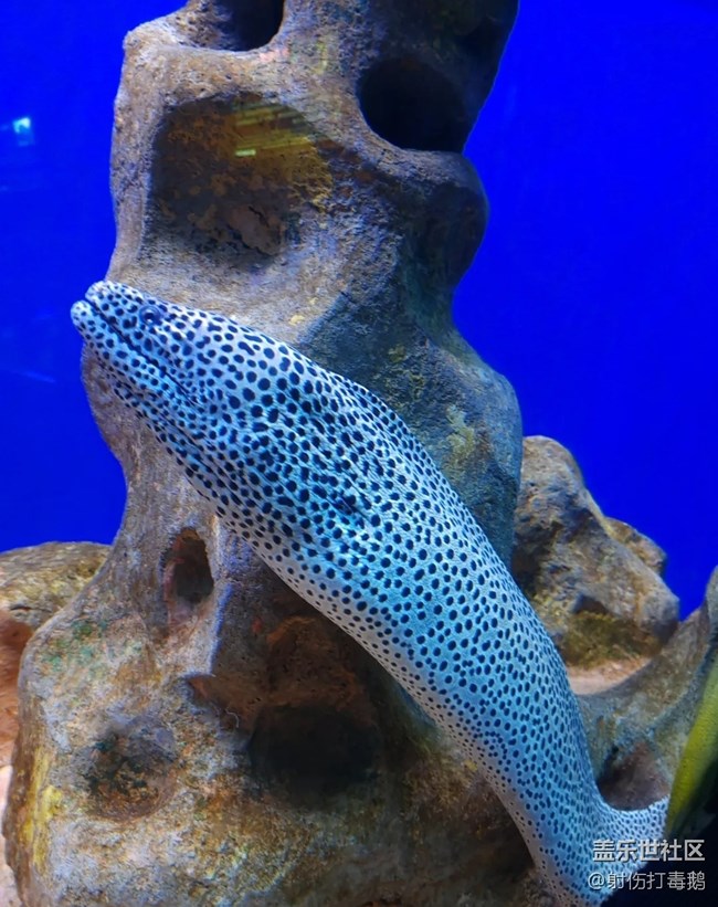 【小众旅行地】海底世界