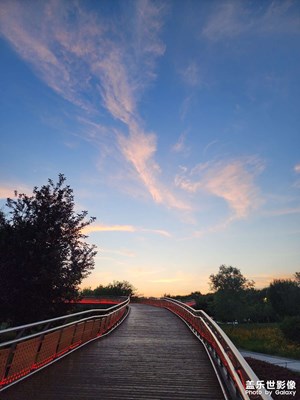 【多巴胺的夏天】夏日公园随拍