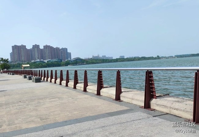 【小众旅行地】龙子湖