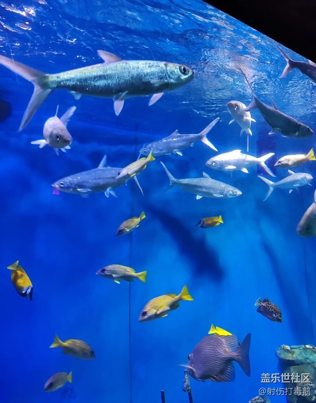 【小众旅行地】海底世界