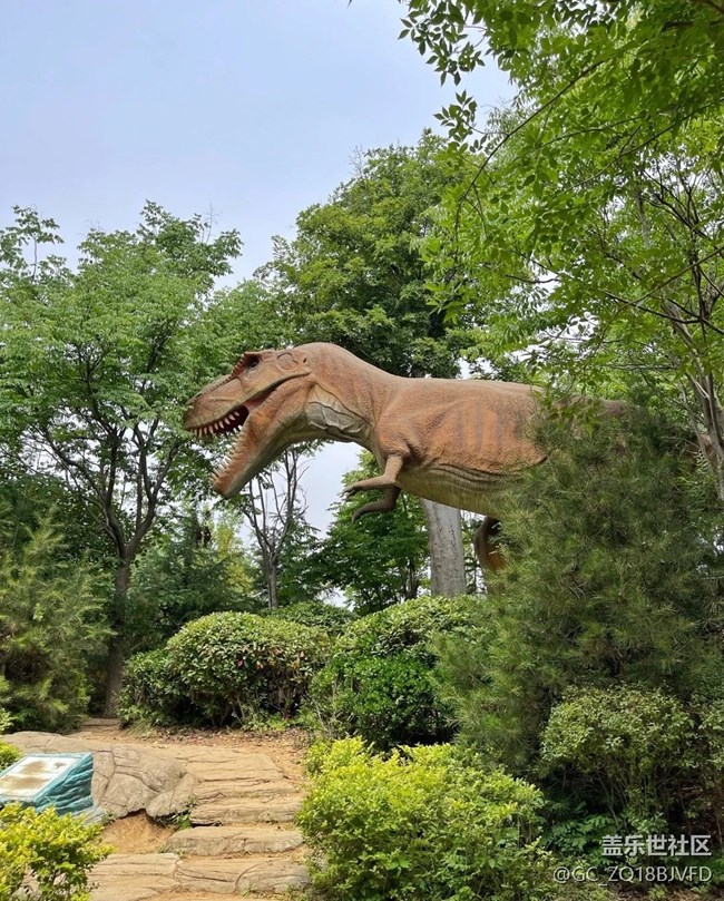 【小众旅行地】临沂龙园