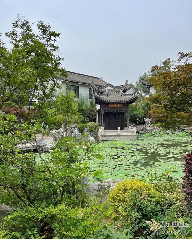 【小众旅行地】临沂龙园