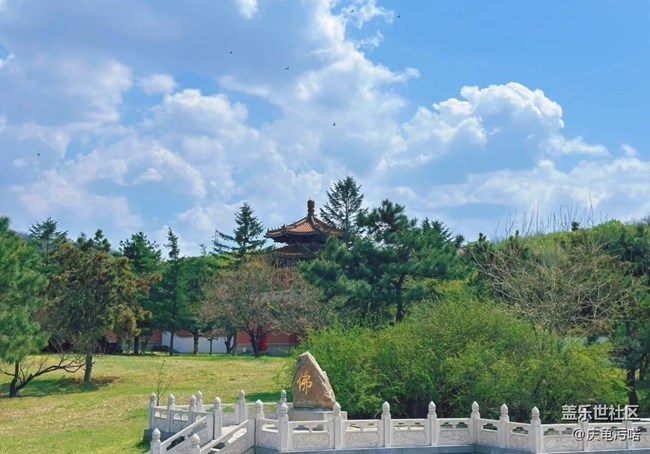 【小众旅行地】鞍山玉佛寺
