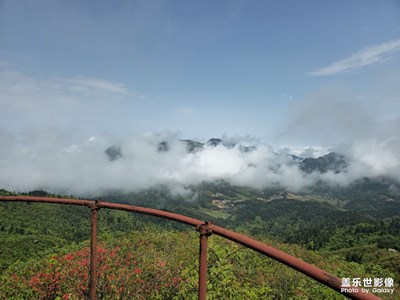随手拍