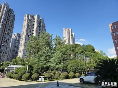 随手拍