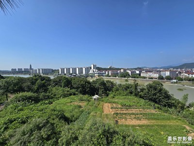 随手拍