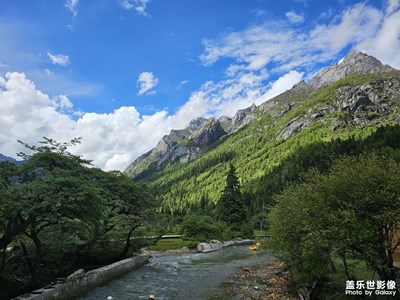 还是大山美