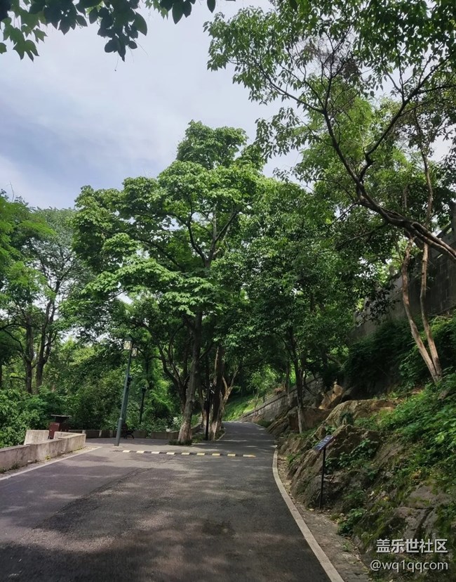 【小众旅行地】龟山公园