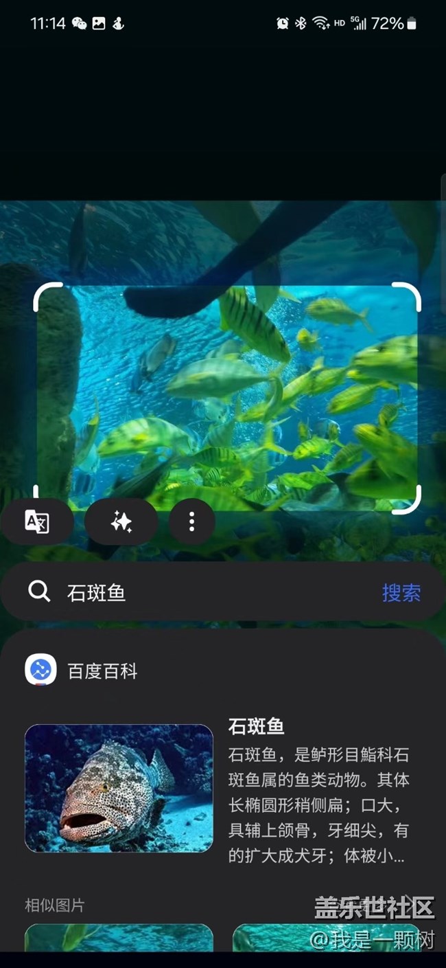 【当三星遇到海洋馆】+AI让快乐更简单