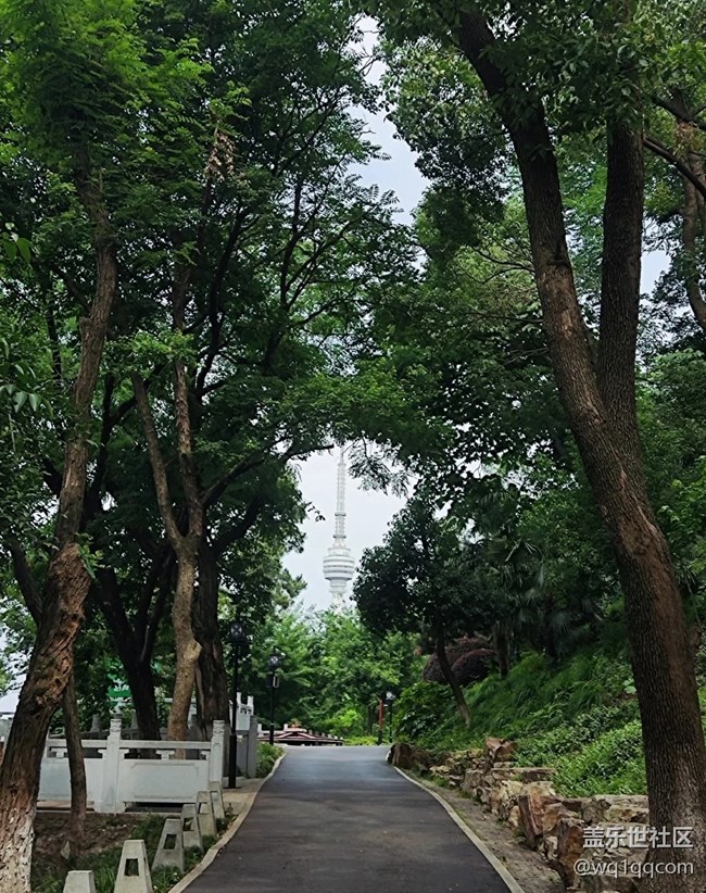 【小众旅行地】龟山公园