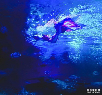 【七月风光】+海底生物