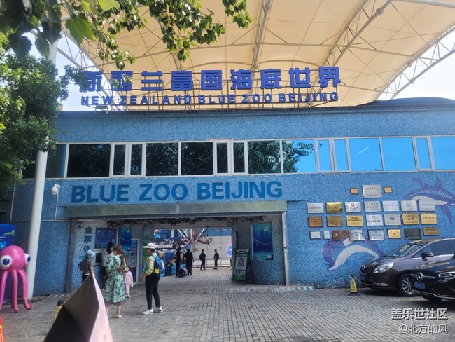 【当三星遇到海洋馆】+手机AI来了