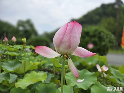 随手拍