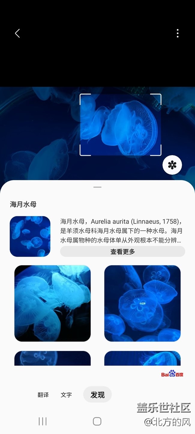 【当三星遇到海洋馆】+手机AI来了