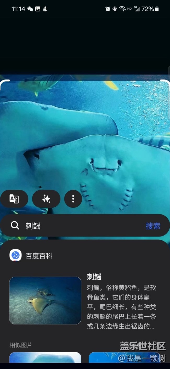 【当三星遇到海洋馆】+AI让快乐更简单