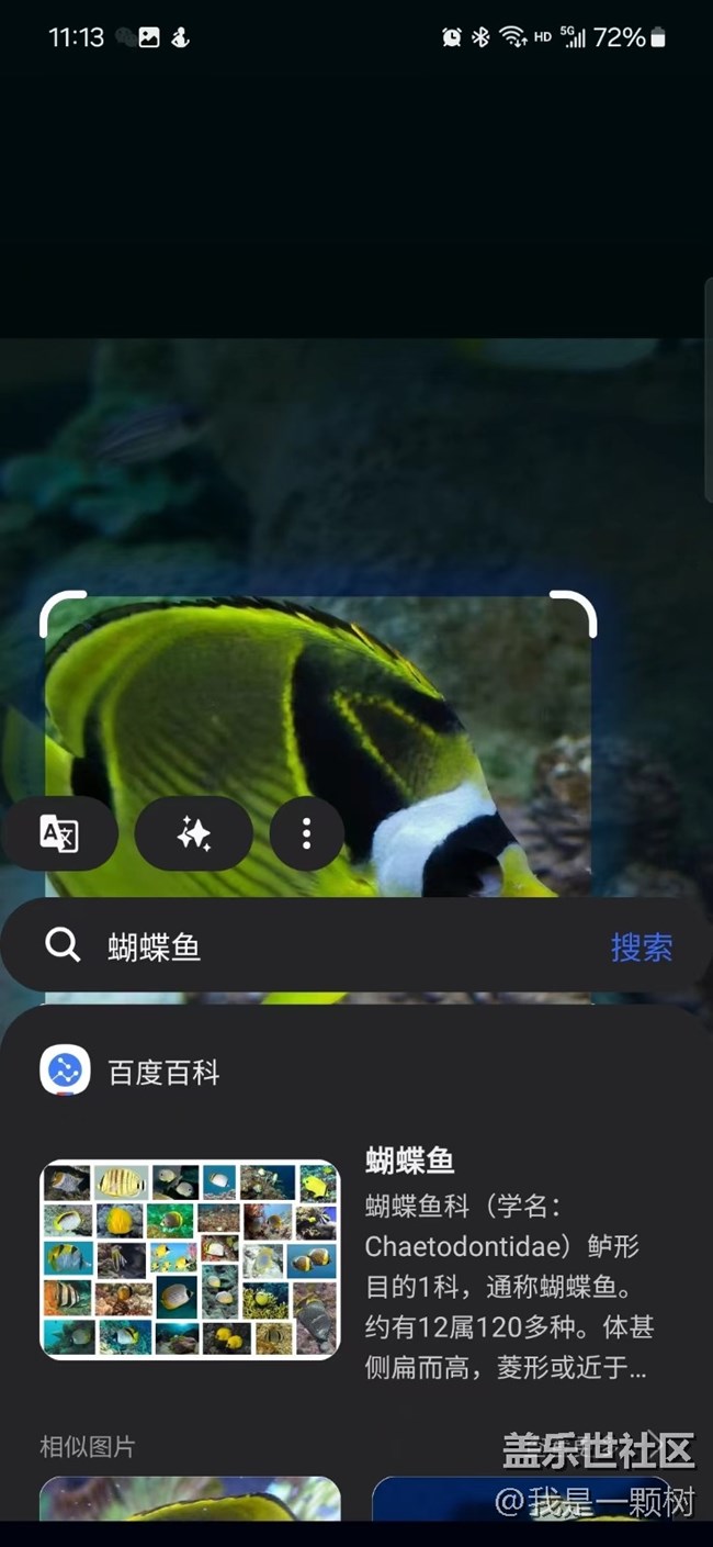 【当三星遇到海洋馆】+AI让快乐更简单