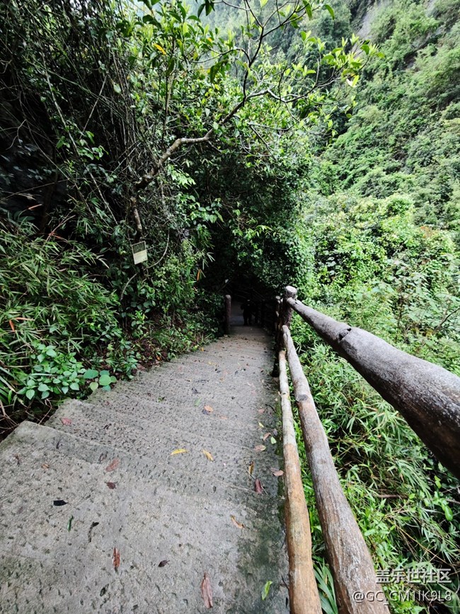 【夏天的绿色】雨天登山