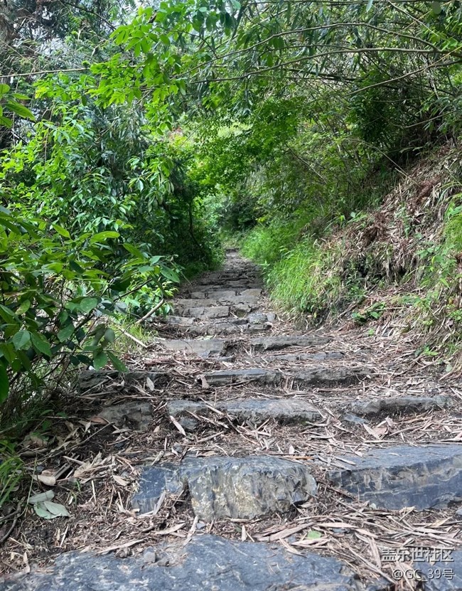 【小众旅行地】徽杭古道