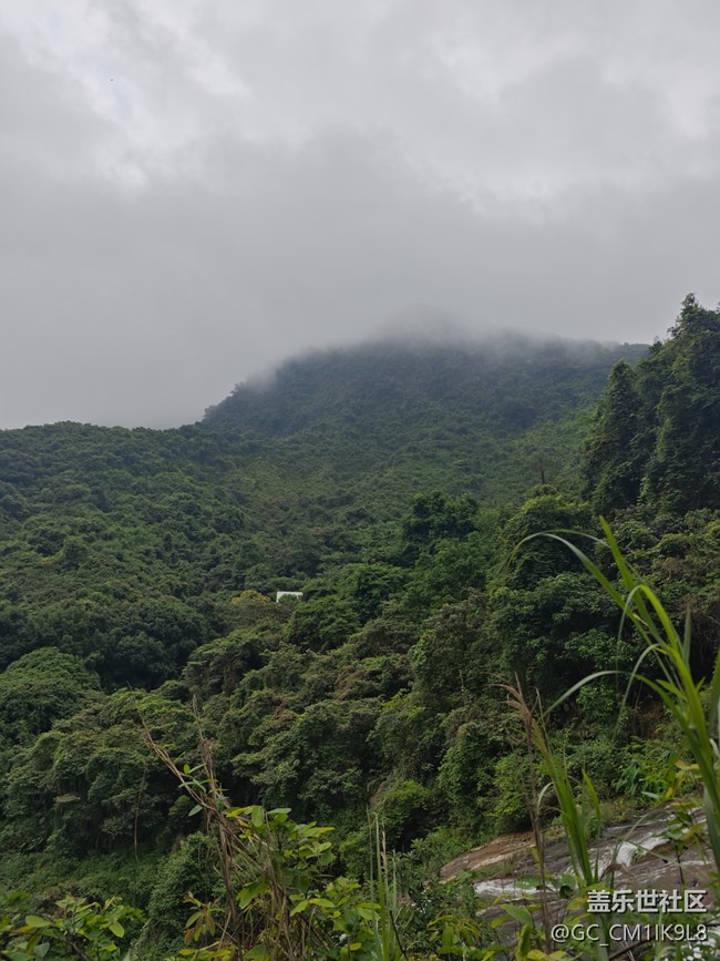 【夏天的绿色】雨天登山