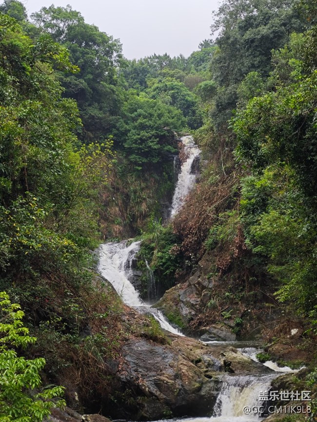 【夏天的绿色】雨天登山
