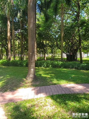 【夏日丽影】美丽公园