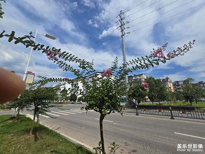 随手拍