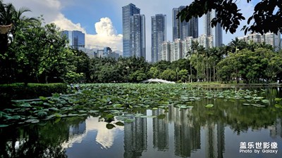 【七月风光】七月好风光
