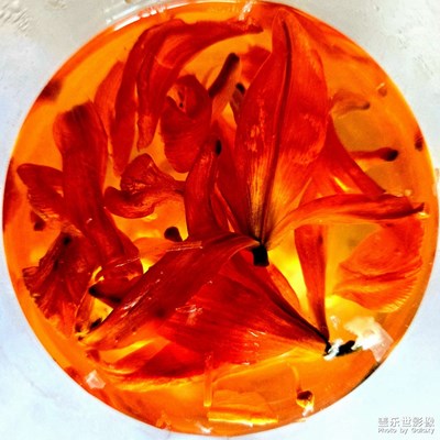 【七月风光】+好饮食也有好风光