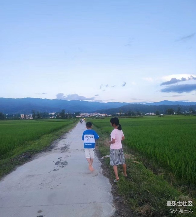 【夏天的绿色】家乡