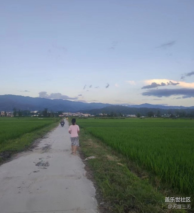 【夏天的绿色】家乡