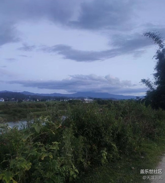 【夏天的绿色】家乡