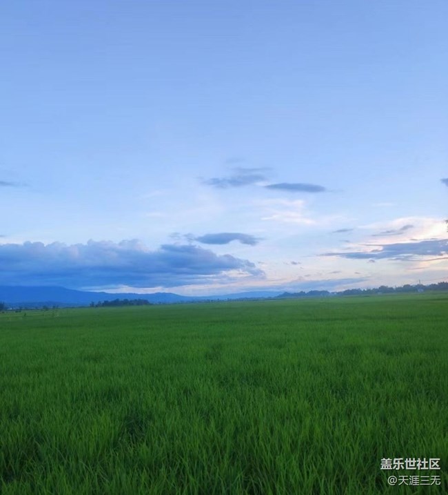【夏天的绿色】家乡