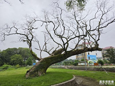 随手拍
