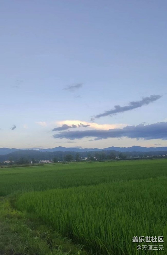 【夏天的绿色】家乡