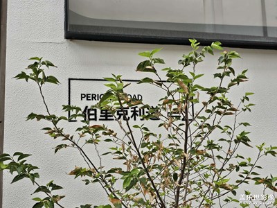 今日份随手拍