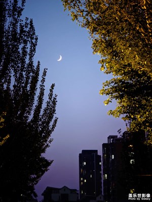 【夏日丽影】+ 夜晚的弯月高悬天际