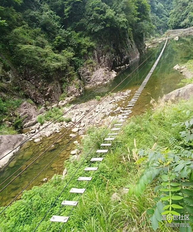 【夏天的绿色】避暑