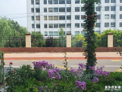 窗外的风景