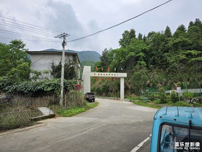 随手拍