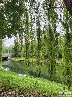 【夏日丽影】+一起看河