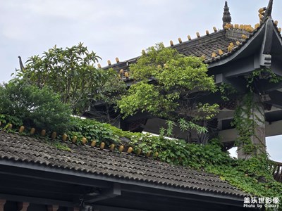 【夏日丽影】夏天的下午