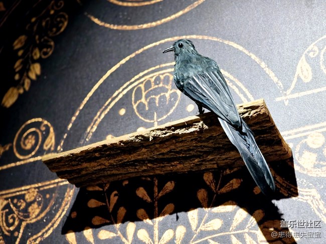 【世界像素大英图书馆线下摄影活动】+回归啦