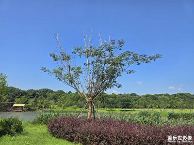 随手拍