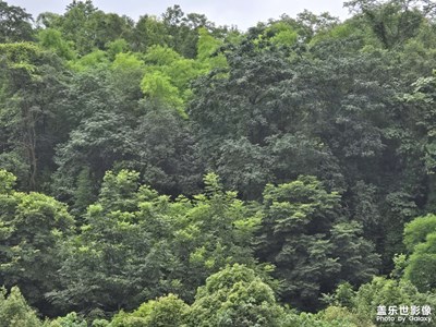 【夏日丽影】+沿路风景