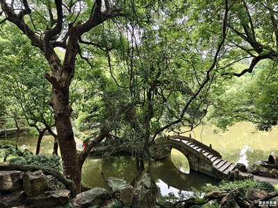 【最美一刻】+随拍夏天