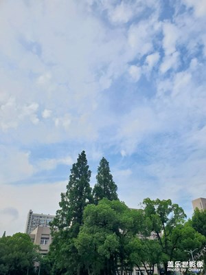 【最美一刻】+游上海